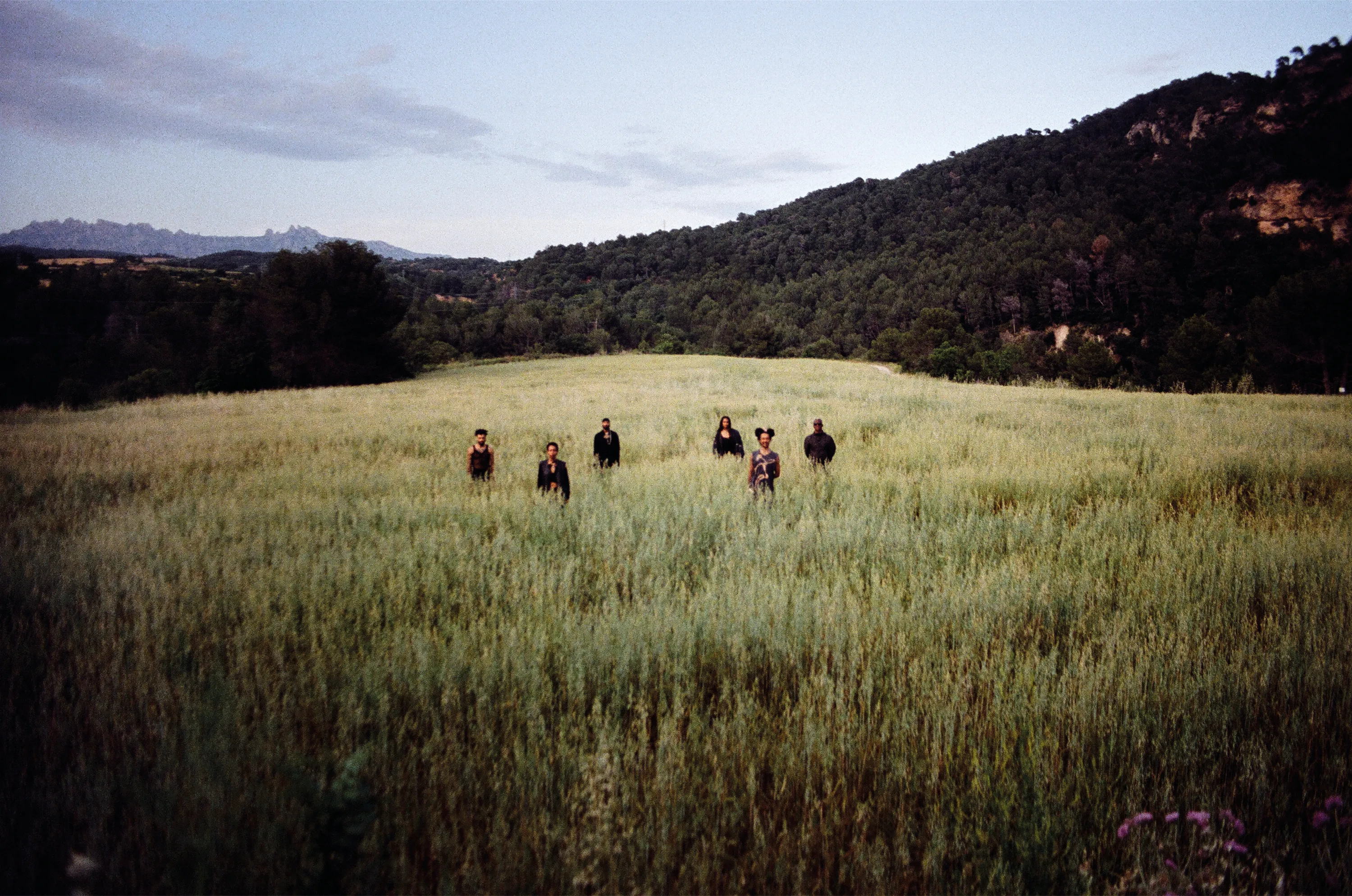 Azorean landscape, Opa Collective playlist companion photograph